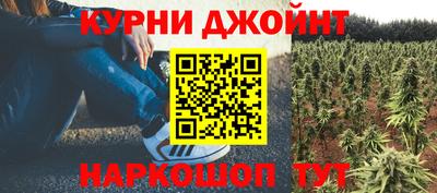 ПСИЛОЦИБИНОВЫЕ ГРИБЫ Донской
