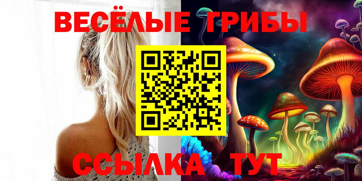 Псилоцибиновые грибы Magic Shrooms  Вход с VPN  Мелеуз 